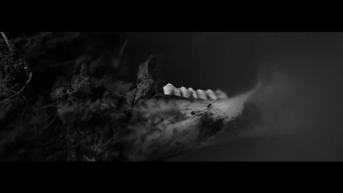 Depravation Feast with the rats